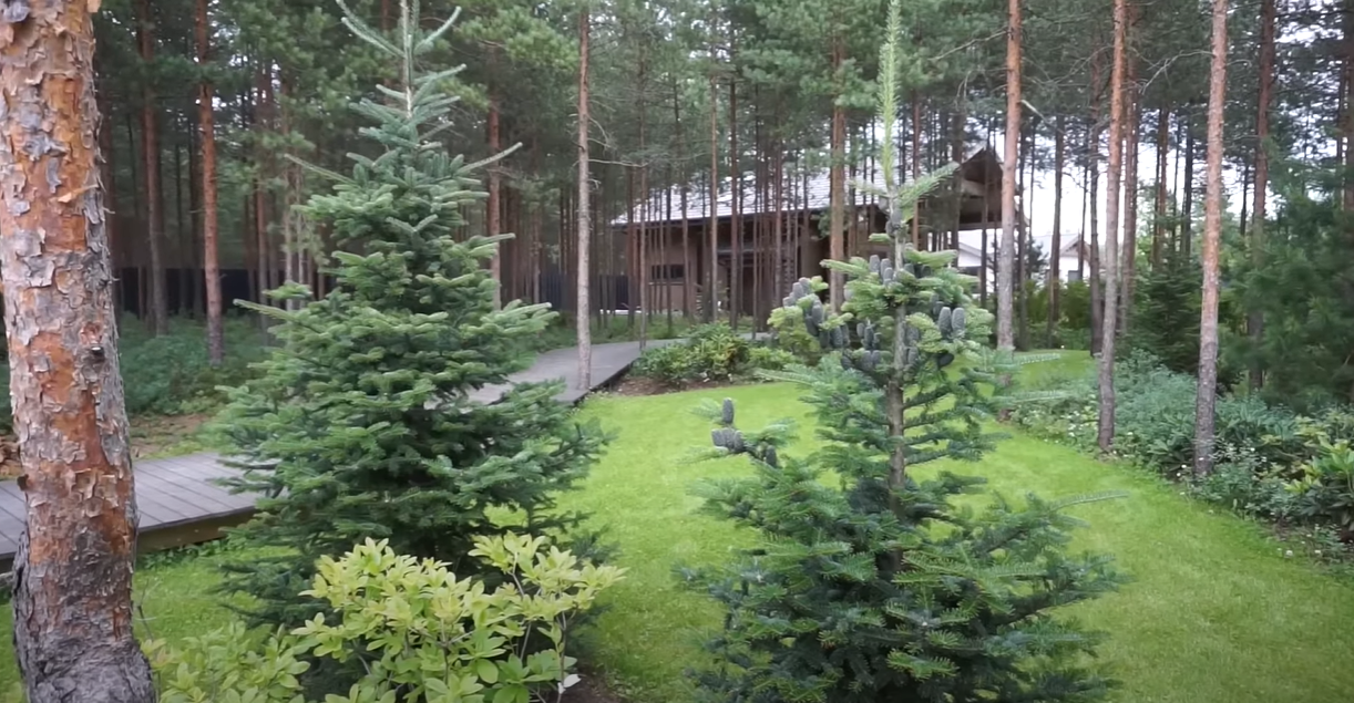 https://nizhnekamsk.mslandshaft.ru/storage/app/uploads/public/642/bbc/bba/642bbcbba5df3508429794.png